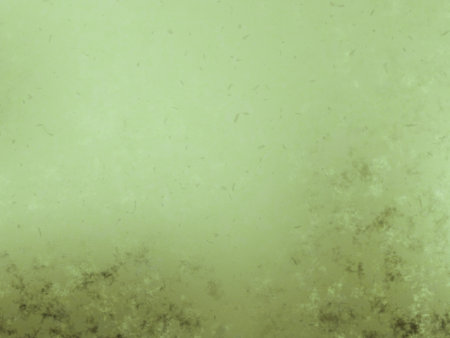 Rich golden metal backdrop with scattered dark speckles.の写真素材