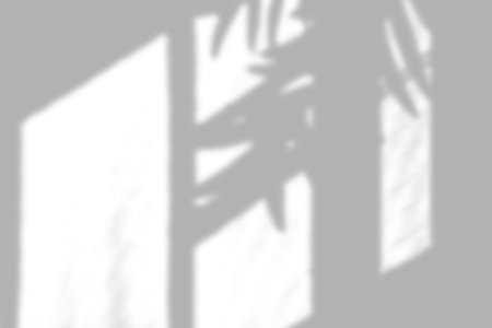 Abstract window shadow effect casting soft lines on a bright background.