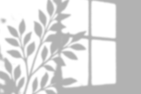 Delicate window shadow blending with tree leaf patterns on the wall.