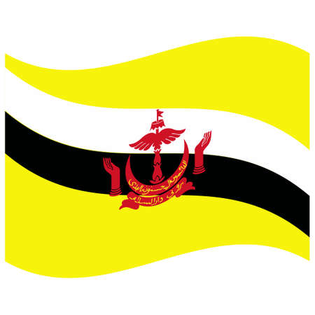 National flag of Brunei - Flat color icon.のイラスト素材