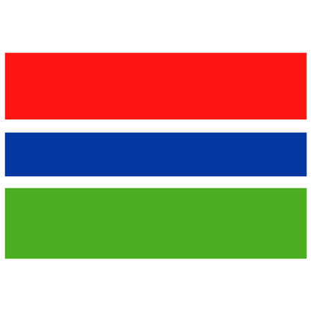 National flag of Gambia - Flat color icon.のイラスト素材