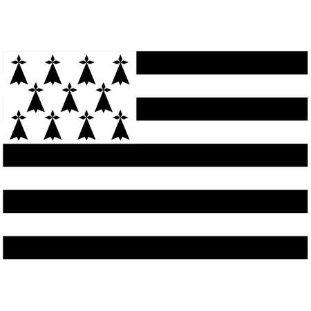 National flag of Brittany - Flat color icon.のイラスト素材