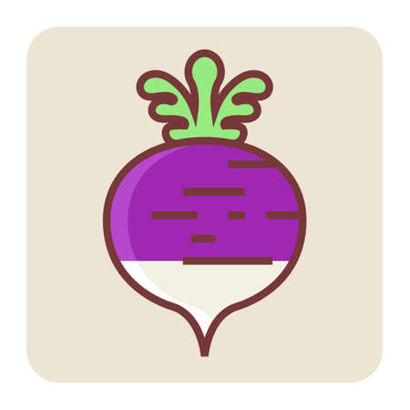 Filled color outline icon for turnip.のイラスト素材