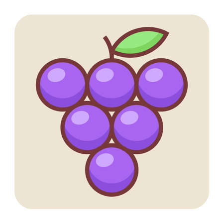 Filled color outline icon for black currant.のイラスト素材
