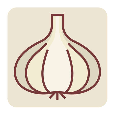 Filled color outline icon for garlic.のイラスト素材