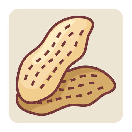 Filled color outline icon for peanuts.のイラスト素材