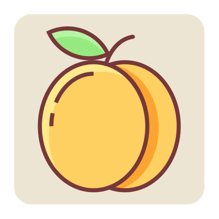 Filled color outline icon for plum.のイラスト素材
