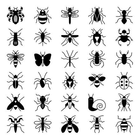 Glyph icons for insects.のイラスト素材