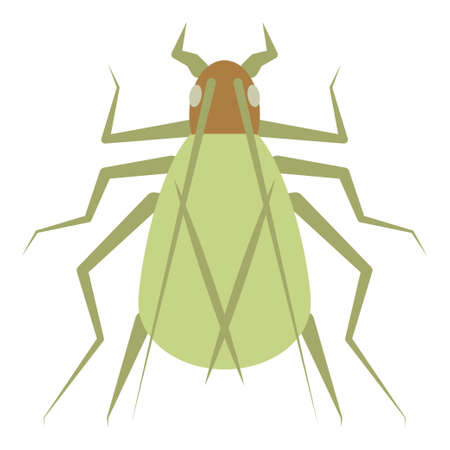 Flat color icon for tree cricket.のイラスト素材
