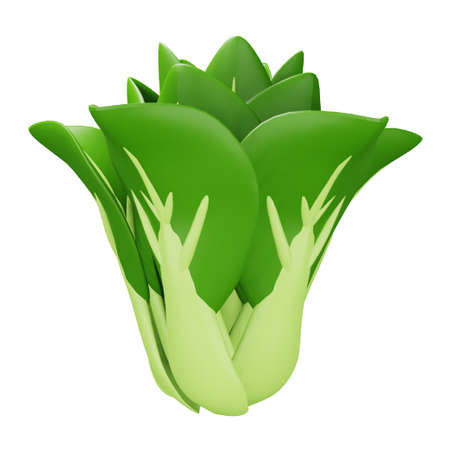 Bok choy 3d rendering isometric icon.のイラスト素材