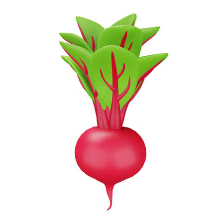 Beetroot 3d rendering isometric icon.のイラスト素材