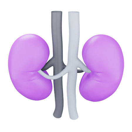 Kidney 3D rendering isometric icon.のイラスト素材