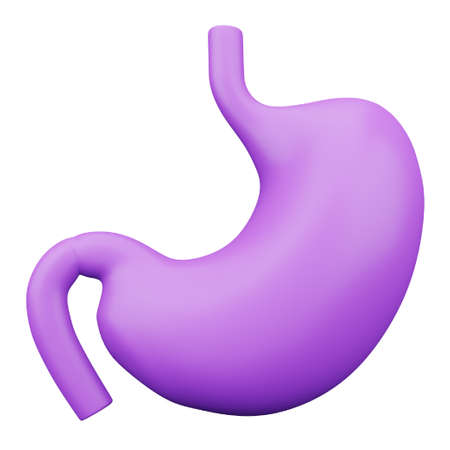 Stomach 3D rendering isometric icon.のイラスト素材