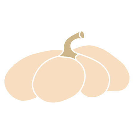 Pumpkin icon vector illustration. Autumn Halloween or Thanksgiving pumpkin symbol in flat design, outline silhouette isolated on white backgroundのイラスト素材