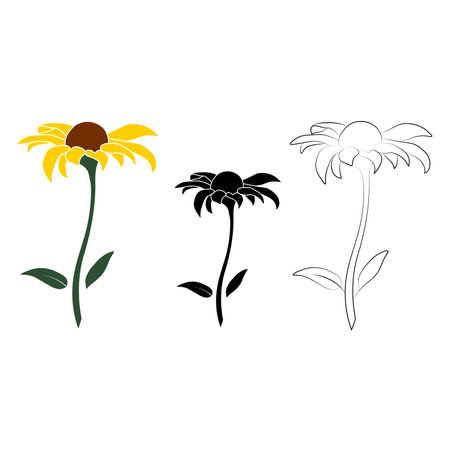 Set of three open heliopsis blossom vector outline, silhouette and color illustration isolated on white background. Vector sketch style top view hand drawing of wild, heliopsis, false sunflower.のイラスト素材