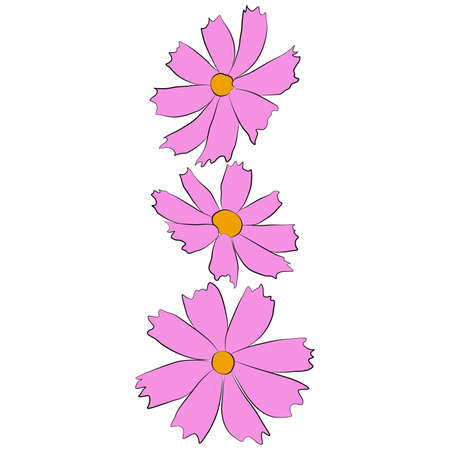 Set of cosmos flower branch vector illustration isolated on white background. Outline hand drawn colored version. Floral vector for childrens illustration, summer design.のイラスト素材