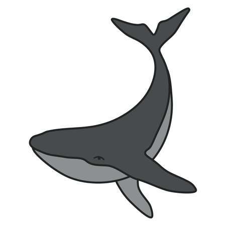 Humpback whale minimalist simple vector logo illustration. Isolated color whale drawing on white backgroundのイラスト素材