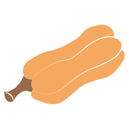 Pumpkin icon vector illustration. Autumn Halloween or Thanksgiving pumpkin symbol in flat design, outline silhouette isolated on white backgroundのイラスト素材