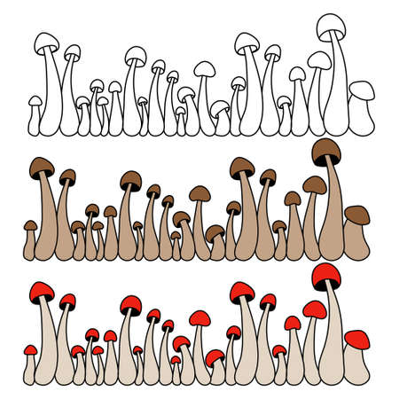 Borders of mushrooms vector simple illustration isolated on white background. Outline and colored version. Vector mycology. Natural healthy fungus, autumn design.のイラスト素材