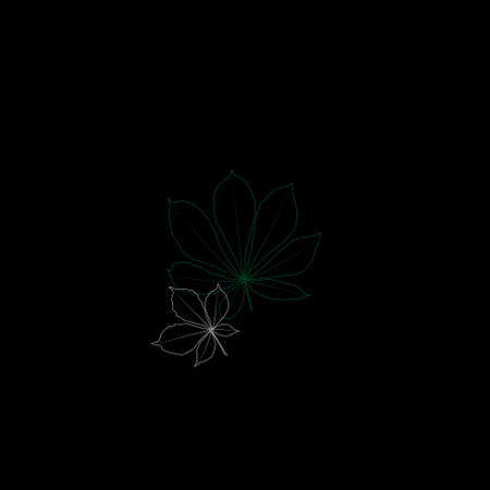 Set of vector chestnut leaf outline icon. Simple outline chestnut leaves illustration  . Realistic hand drawn leaves set on black background.のイラスト素材