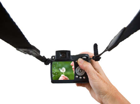 a person looking at their digital photos
