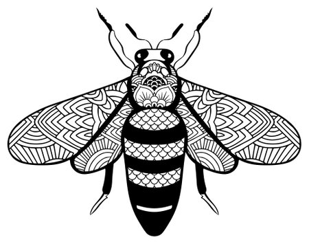 Bee mandala coloring page for adults.のイラスト素材