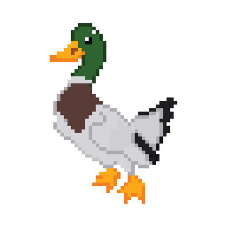 Pixel art duck isolated on white background. Vector illustration in 8 bit style.のイラスト素材