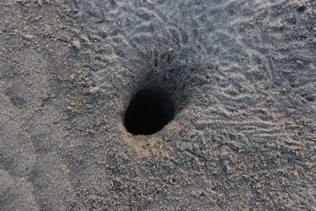 Black hole in the sand, close-up of a hole in the sandの写真素材