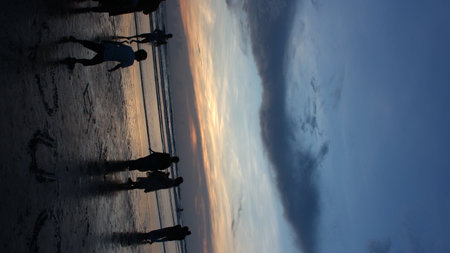 Silhouette of a group of people on the background of sunset