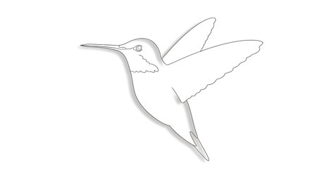 Illustration of a flying hummingbird isolated on a white background.の素材