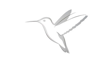 Illustration of a flying hummingbird isolated on a white background.の素材