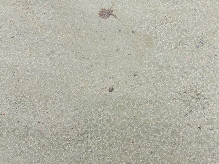 Grunge cement floor texture. Abstract background and texture for design.