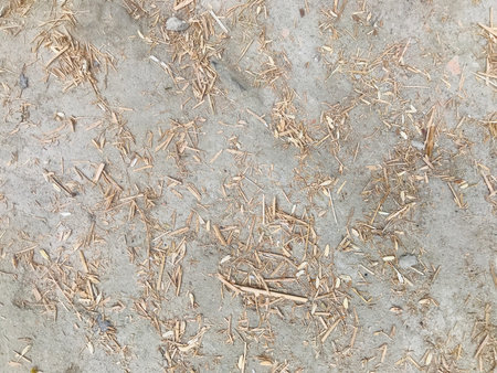 Dry leaves on the ground. Abstract background and texture for design.の写真素材