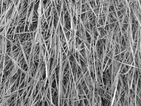 Close-up of a straw bale in black and white.