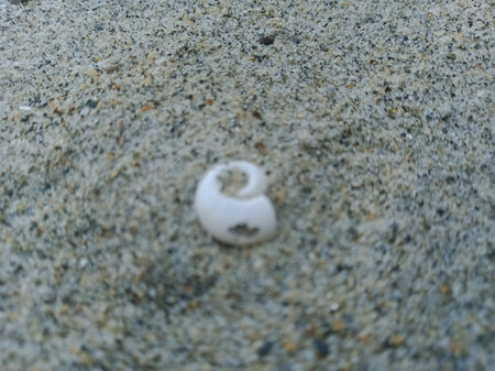 White object on the sand. Selective focus.の写真素材