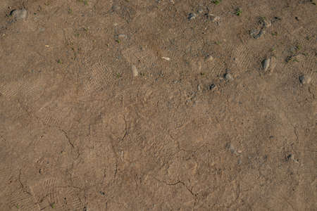 Textured fertile soil as background. Gardening season.の写真素材