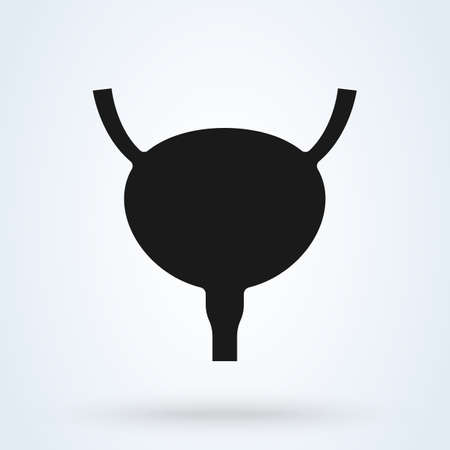 Human urinary bladder with ureters and urethra. Human organ. Vector illustrationのイラスト素材