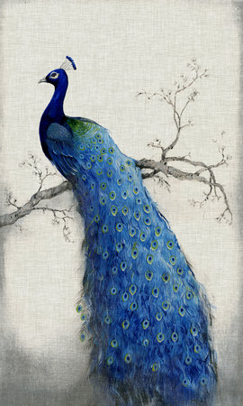Peacock sitting on the tree with texture background for 3d living room bedroom TV 3D wallpaper home decoration mural wallpaper for wallsの写真素材