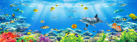 Fishes and water life with under water natural background for 3d living room bedroom TV 3D wallpaper home decoration mural wallpaperの写真素材