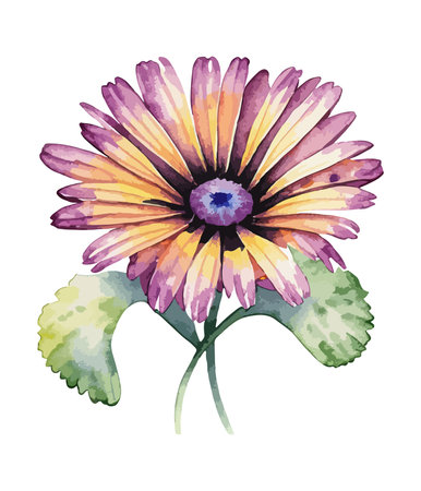 Watercolor gerbera flower on a white background. Vector illustration.のイラスト素材