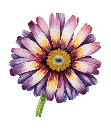 Watercolor daisy flower isolated on white background. Vector illustration.のイラスト素材