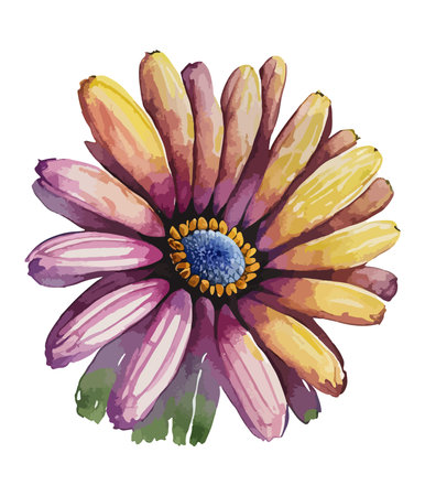 Watercolor gerbera flower on white background. Vector illustration.のイラスト素材