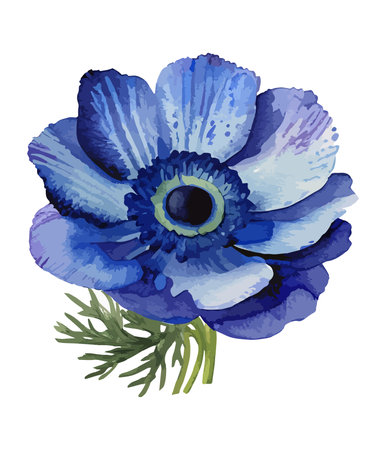 Blue anemone isolated on white background. Hand drawn vector illustration.のイラスト素材