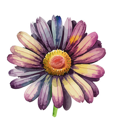 Beautiful watercolor daisy isolated on white background. Vector illustration.のイラスト素材