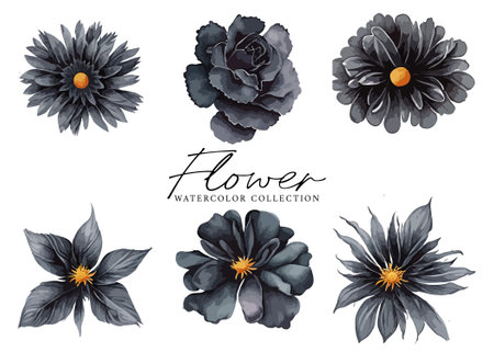 Set of black and white watercolor flowers. Hand drawn vector illustration.のイラスト素材