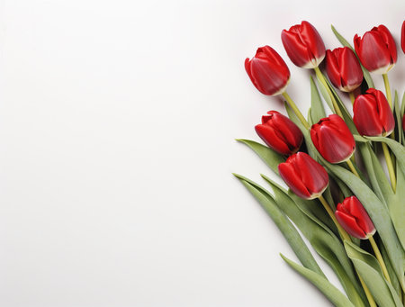 Bouquet of red tulips on white background with copy spaceの素材