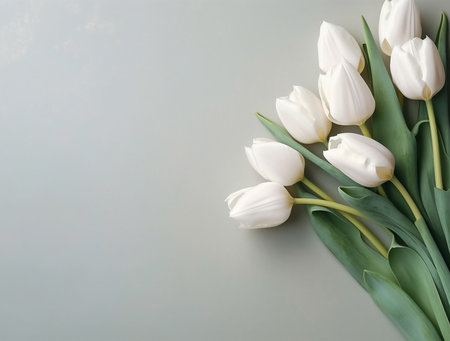 Bouquet of white tulips on gray background. Top view, copy spaceの素材