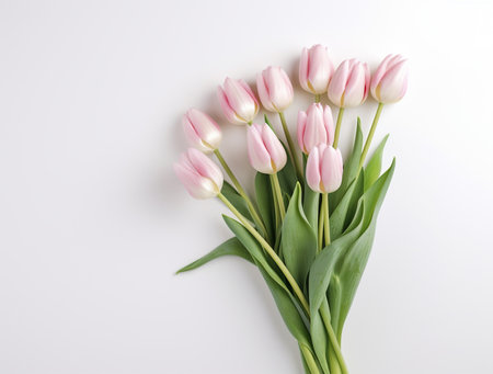 Bouquet of pink tulips on white background. Flat lay, top viewの素材