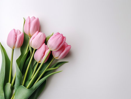 Bouquet of pink tulips on white background, copy spaceの素材