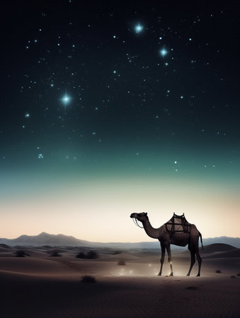 Silhouette of camel in the desert at night. 3d renderingの素材